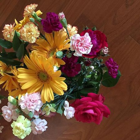 Guesthouse Flora ロディ エクステリア 写真
